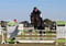 Annuncio cavallo