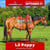 Horse ad