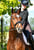 Annuncio cavallo