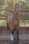 Horse ad