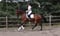 Horse ad