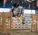 Horse ad