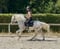 Annuncio cavallo