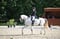 Annonce cheval