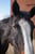 Horse ad