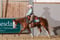 Annuncio cavallo