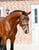 Paardadvertentie