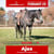 Horse ad