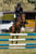 Annuncio cavallo