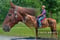 Annuncio cavallo