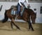 Horse ad