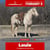 Anuncio de caballos