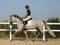Horse ad