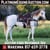 Horse ad