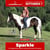 Annuncio cavallo