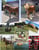 Horse ad