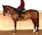 Horse ad