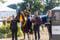 Horse ad