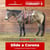 Anuncio de caballos