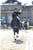 Annuncio cavallo