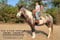 Horse ad