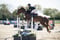 Horse ad