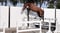 Horse ad