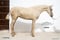 Annonce cheval
