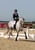 Annuncio cavallo
