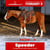 Horse ad