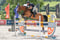Horse ad