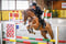 Annuncio cavallo