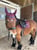 Horse ad