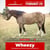 Horse ad