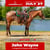 Horse ad