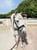 Annuncio cavallo