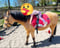 Anuncio de caballos