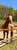 Horse ad