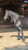 Horse ad