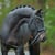 Horse ad