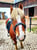 Horse ad