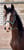 Annuncio cavallo