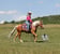 Annuncio cavallo