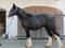 Horse ad