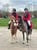 Horse ad