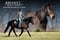 Horse ad