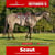 Paardadvertentie