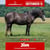 Paardadvertentie