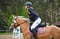 Annuncio cavallo