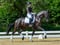 Annuncio cavallo